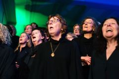 DSC00681