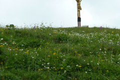 20180601_100103_2534090_P1030517