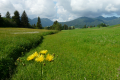 20180602_103839_2612228_P1130567